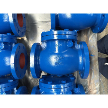 SWING CHECK VALVE PN16